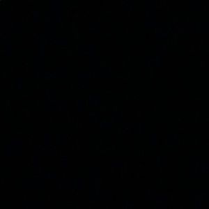 Meet your Posher, Nolan